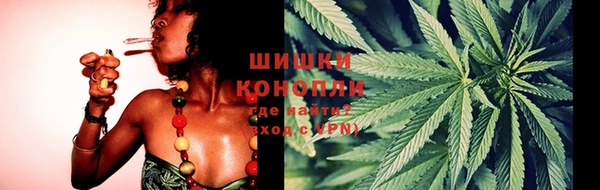 ECSTASY Белокуриха