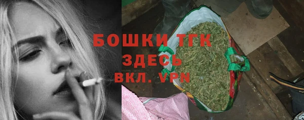 ECSTASY Белокуриха