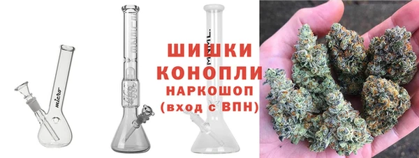 ECSTASY Белокуриха