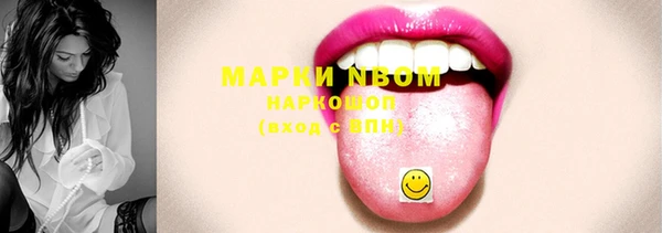 ECSTASY Белокуриха