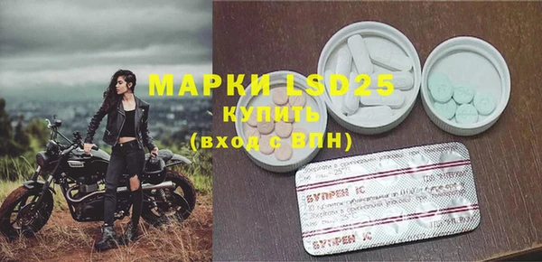 ECSTASY Белокуриха