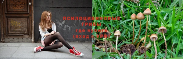 дмт Беломорск