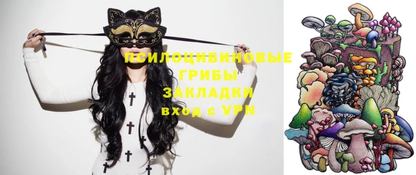 мяу мяу мука Белоозёрский