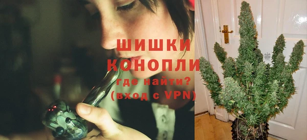 ECSTASY Белокуриха